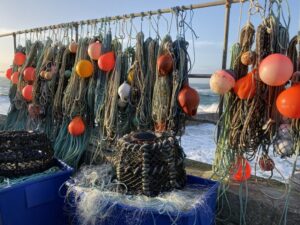 籲漁民遵守禁漁規範　南市加強查緝保護海洋資源