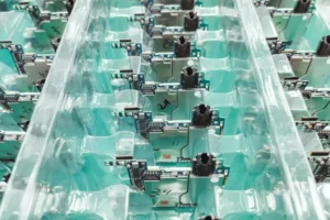 馬斯克感謝台積電卻標錯帳號　AI5晶片設計完成引發熱議
